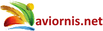 mi.aviornis